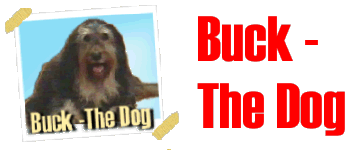 Buck - The Dog